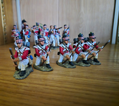 King country napoleonic - napoleonic, 71st